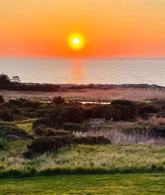 Wildernest Bornholm Lejlighed Neksø Eksteriør billede