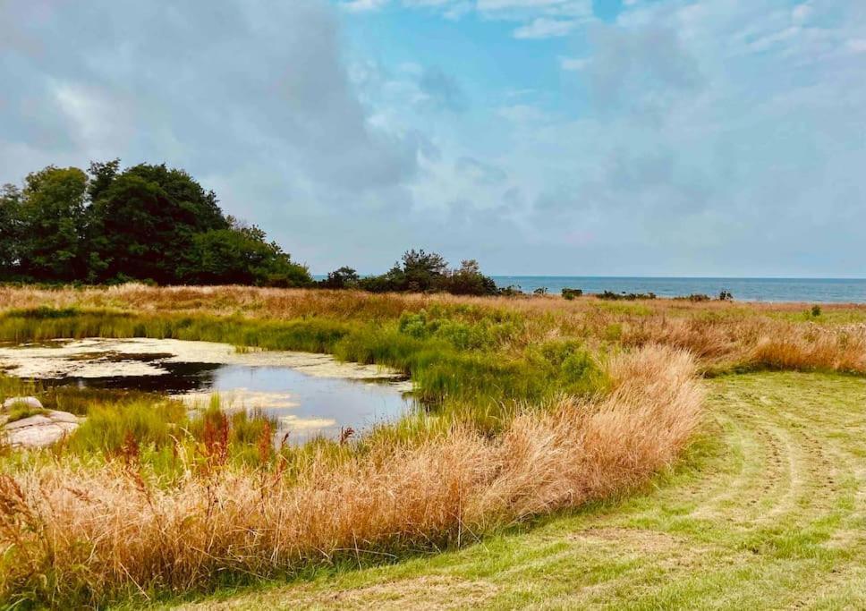 Wildernest Bornholm Lejlighed Neksø Eksteriør billede